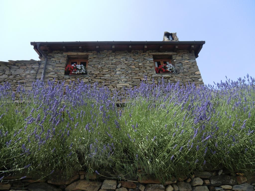 Готель Agriturismo La Fontana Dell'Olmo Molini di Triora Екстер'єр фото