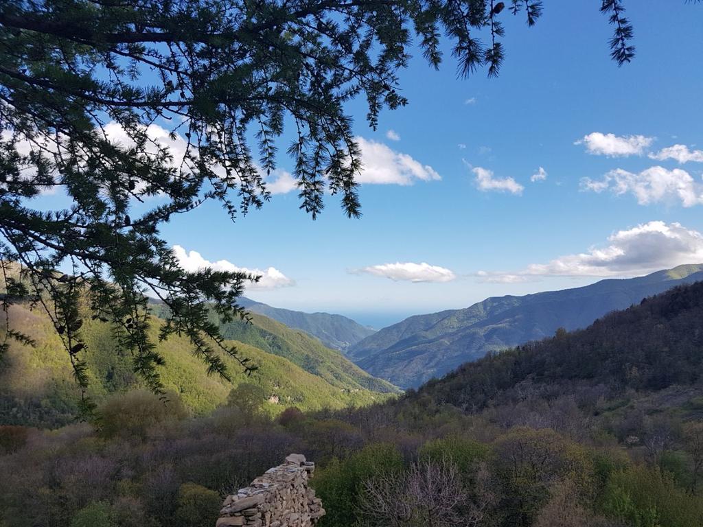 Готель Agriturismo La Fontana Dell'Olmo Molini di Triora Екстер'єр фото